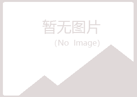 白银平川书瑶化学有限公司